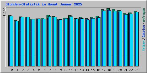 Stunden-Statistik im Monat Januar 2025